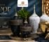 Premium Buffet Display in Ahmedabad with luxury decorative jars and modern event décor setup